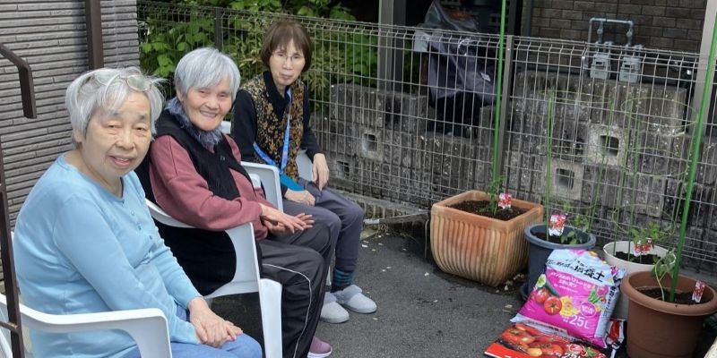 ミニトマト植え