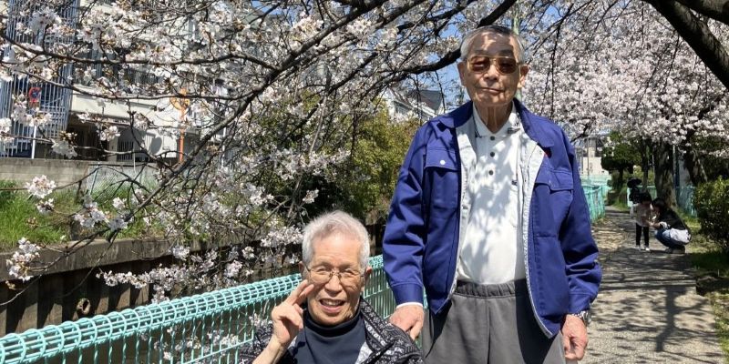 シンフォニアのお花見