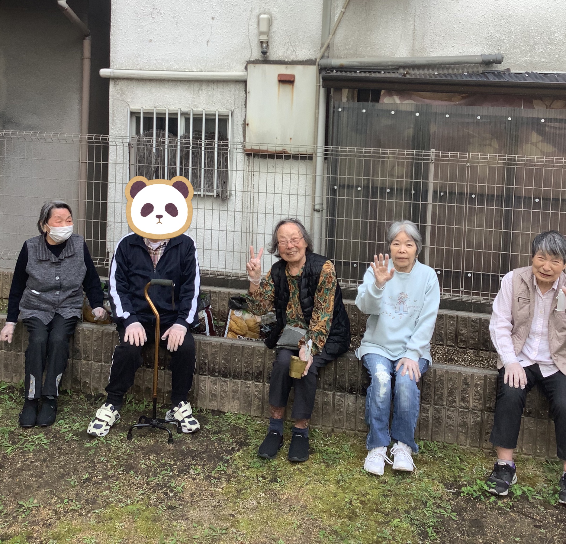 🥔じゃがいも植え🥔